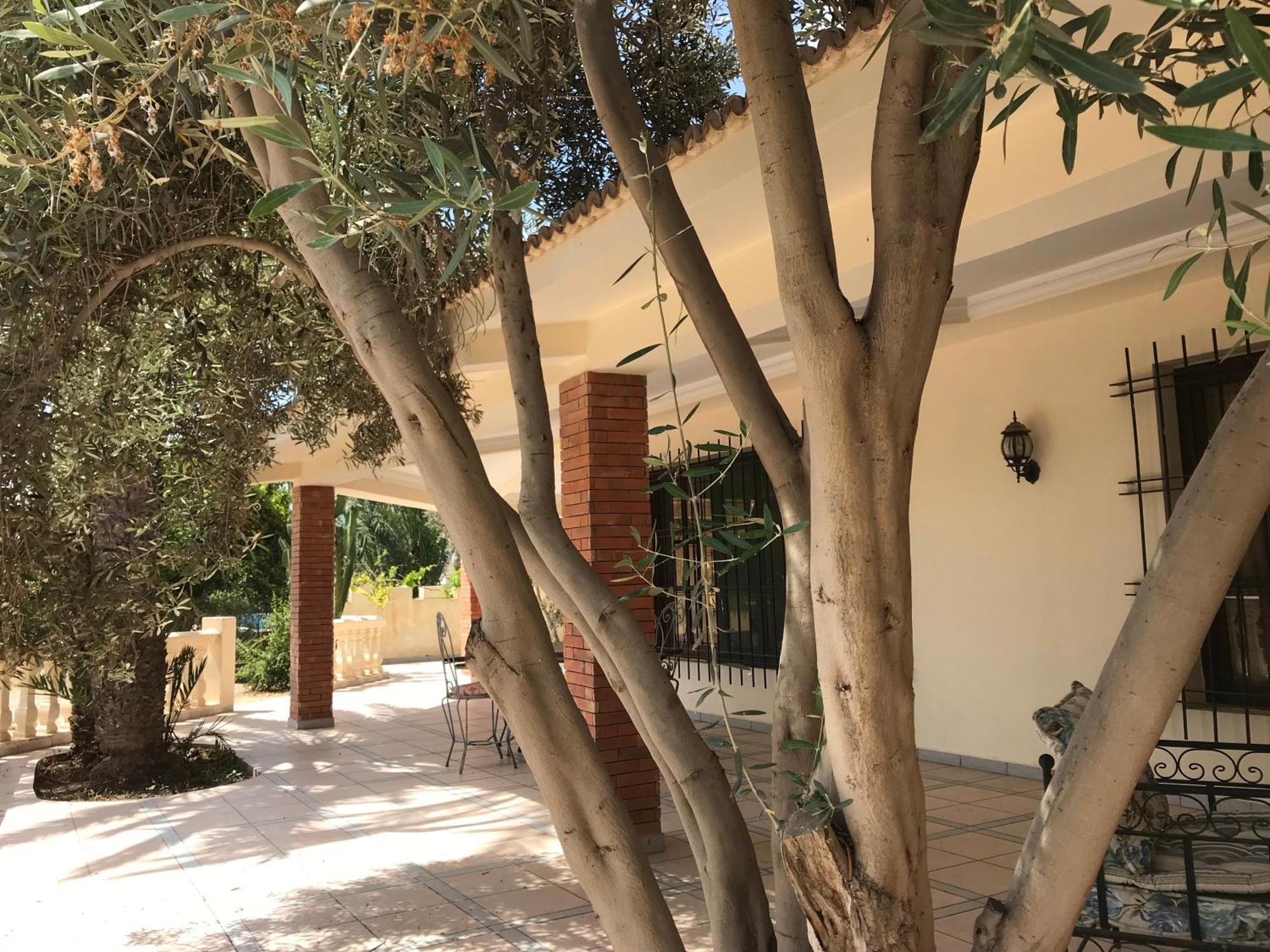 Tiguimi Vacances - Oasis Villas, Cadre Naturel Et Vue Montagne Агадир Экстерьер фото